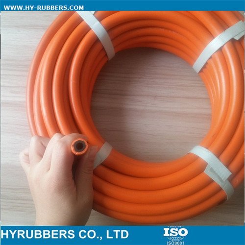 LPG gas Hose