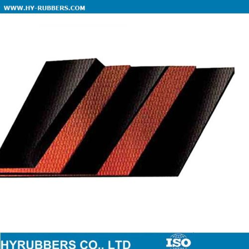 Nylon conveyor belt manufacturer exported to Egypt